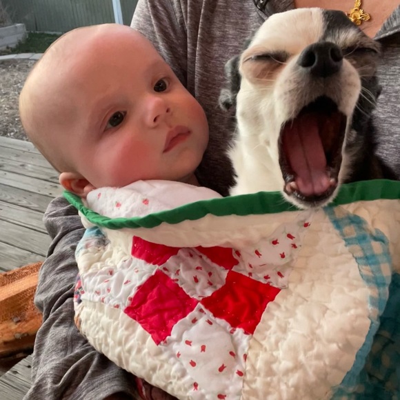 Meet your Posher, Hillary! ππΊπ§π₯πβ€οΈ - Picture 11 of 14